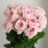 Mary様 ローズクォーツ薔薇No.360 organic-gems_necklace_ss_rose-