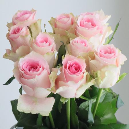 君はメロディー 生写真 バラ売り 楽天市場】君はメロディ 生写真（コレクション｜ホビー）の通販