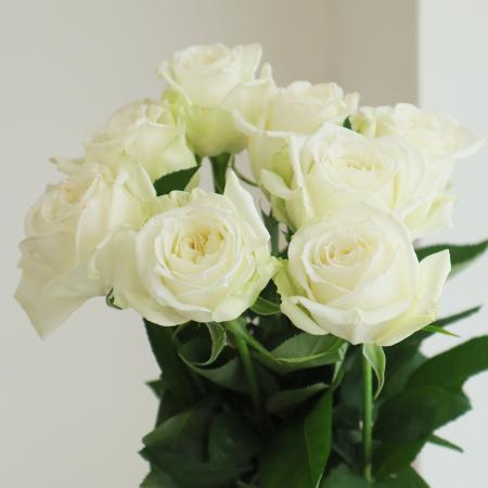 生花】バラ 雪姫(白) 50cm 和都園芸 - 花材通販はなどんやアソシエ