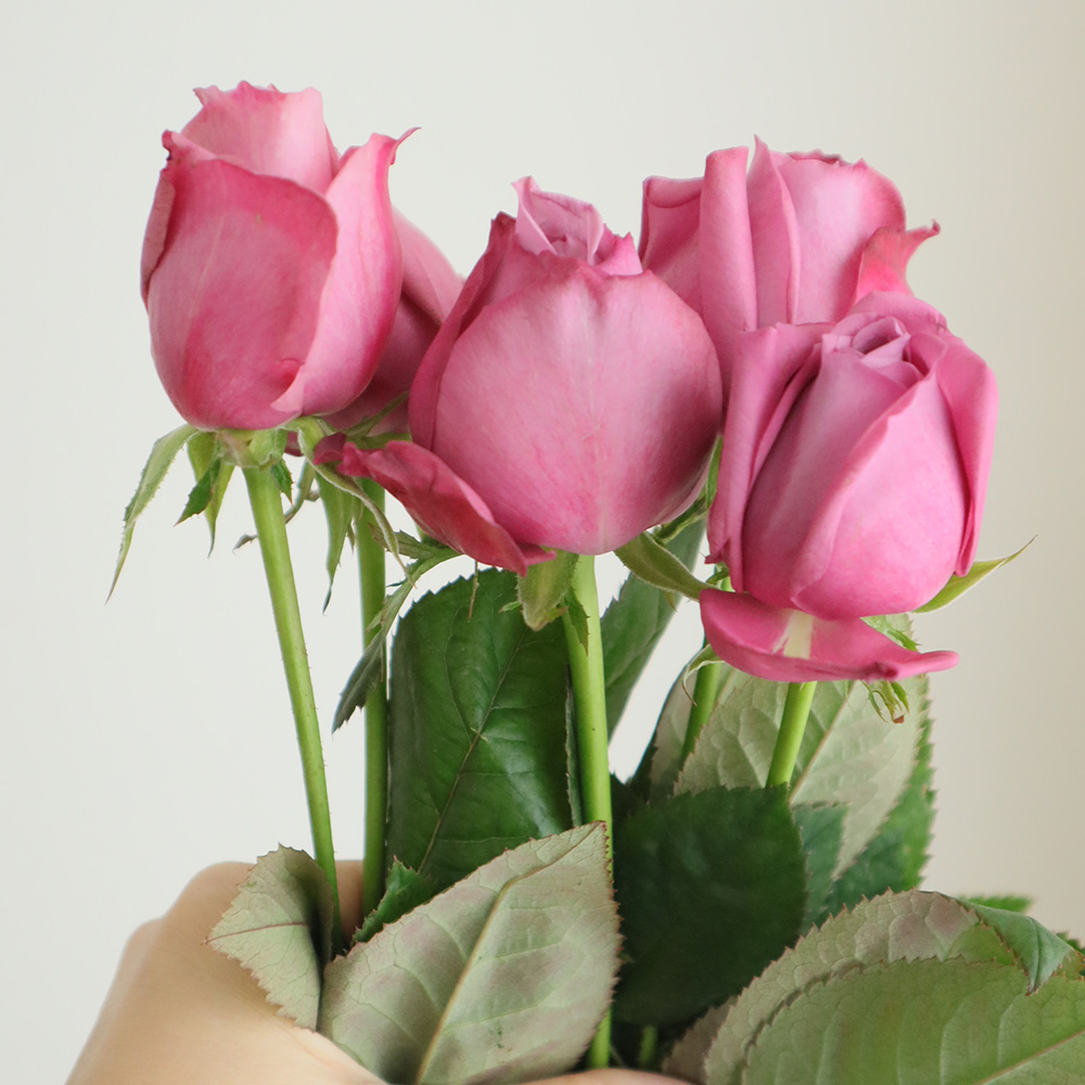 【バラ売り応】B-CLUB 29冊セット No.75～143 抜けあり 08直前!!】新品種!バラ シウン 50CM オキツローズナーセリー【OT