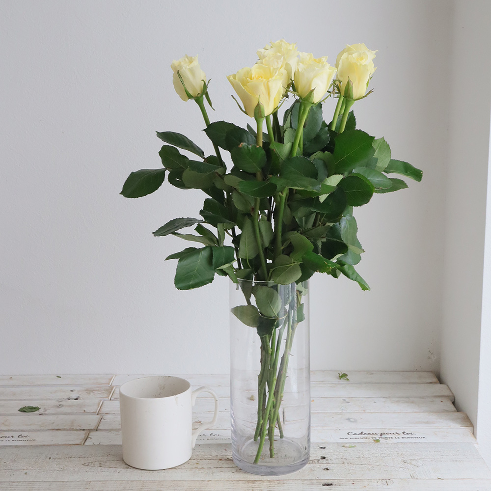 【08直前SE】バラ　アニバーサリー(黄色)50CM　ローズマート