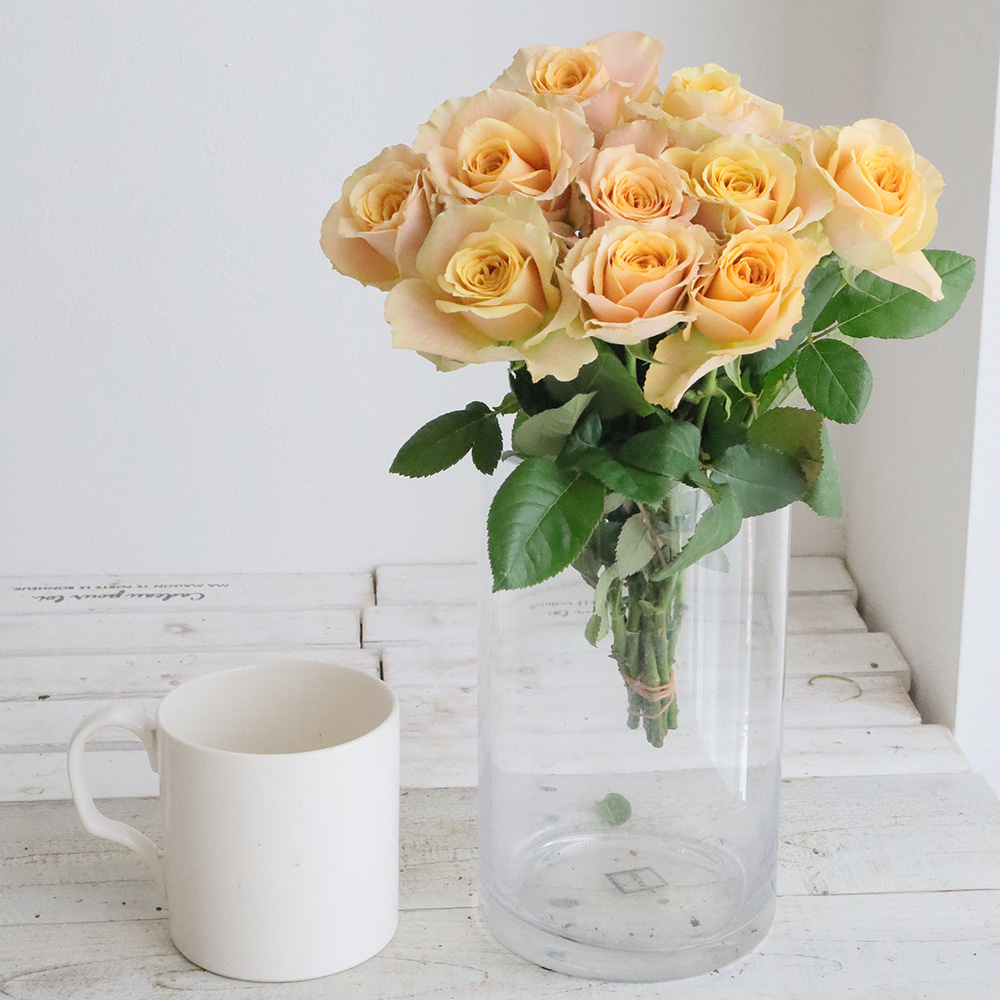 生花】バラ サウザンドマイルズ 堀木園芸 - 花材通販はなどんやアソシエ
