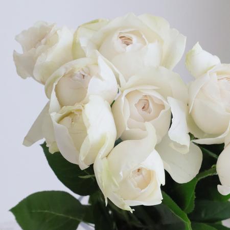 バラ売り可　積みプラ各種　※お値段はコメントにてお願いします。 rr-2460_m.jpg