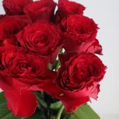 08直前!!】初入荷!バラ ネクストエディション(赤) 40cmひまわり農協