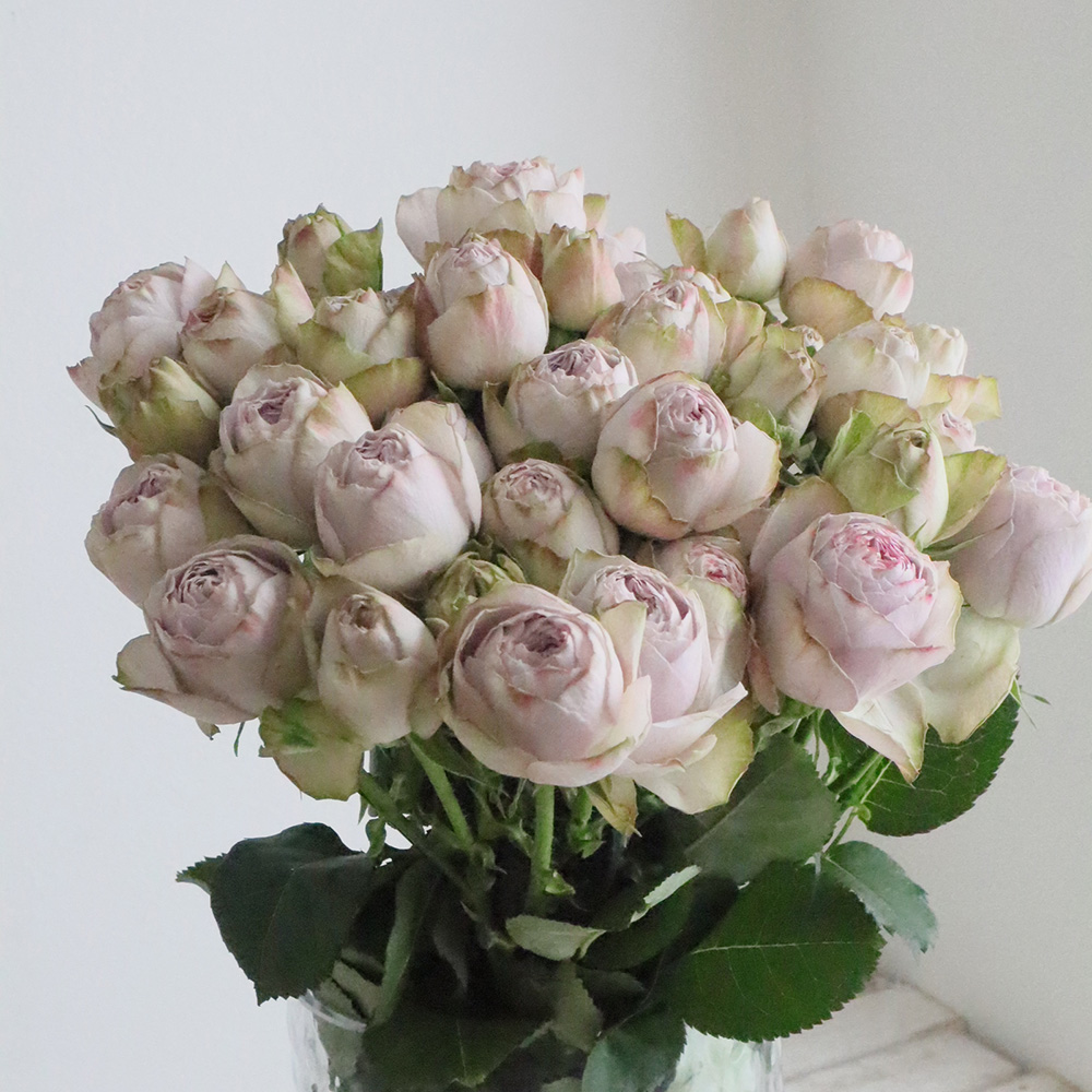 花薔薇のレースの卓上パーテーションミニ3連 花薔薇のレースの卓上パーテーションミニ3連 - メルカリ