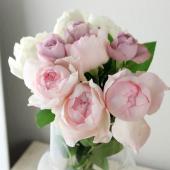 直前】増田バラ園さんのバラミックス(B) - 花材通販はなどんやアソシエ