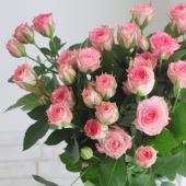 ピンクのバラ 生花】SPバラ ピンクワルツ□今週のオトク【IT】 - 花材通販は