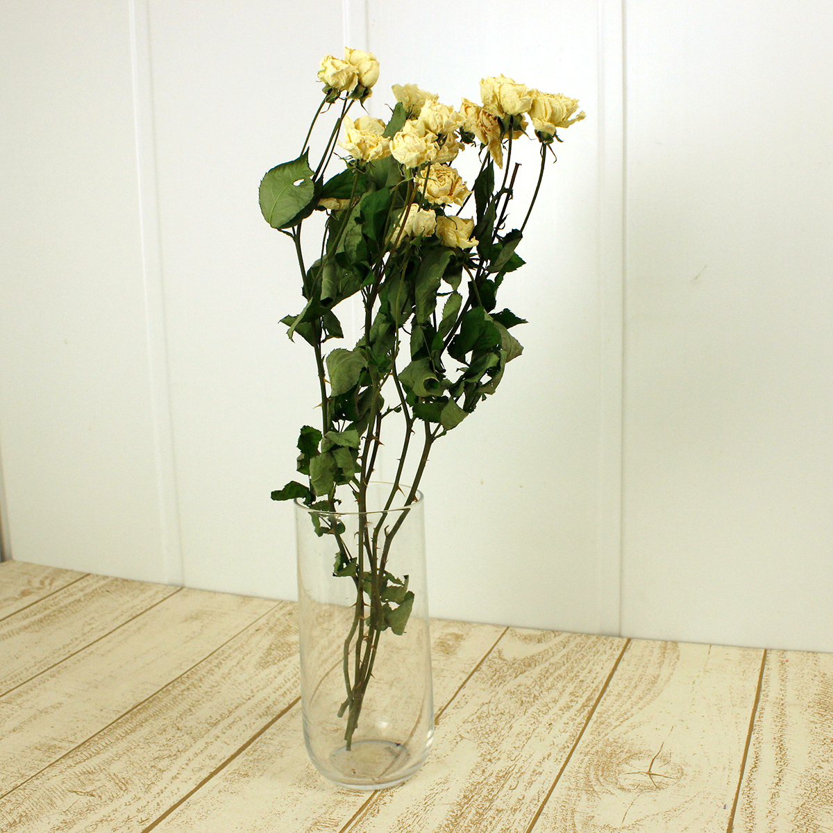 ドライ J Flow Spバラ スイートオールド オフホワイト 束3 5本 Xx 通販 はなどんやアソシエ ドライ J Flow Spバラ スイートオールド オフホワイト 束3 5本 Xx 通販 はなどんやアソシエ