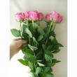 【生花】バラ　オール4ラブ+　40cm　キット用