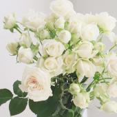 バレエコア　薔薇　フェアリーグランジ　ハンドメイド ネックレス ウィッシュコア フェアリーグランジ エンジェルコア