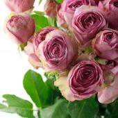 スタンダード 一輪 バラ 価格の高い順 通販 はなどんやアソシエ