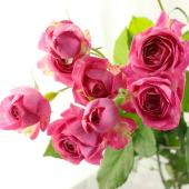 29☆❁¨̮プロフお読みください✧︎*。様　ピンクセレナイト　立体　薔薇　花　バラ 直前!!】SPバラ プリティドンナ(ピンク系) QueenRose 50cm - 花材通販