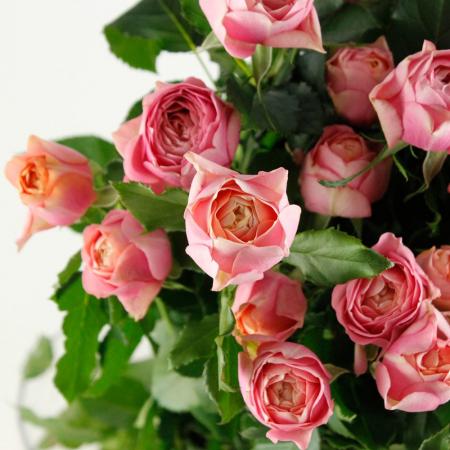 ✨未使用✨JNHearts ローズブラウス ピンク 薔薇 涼感素材 食用バラ パープルミックス | EDIBLE GARDEN