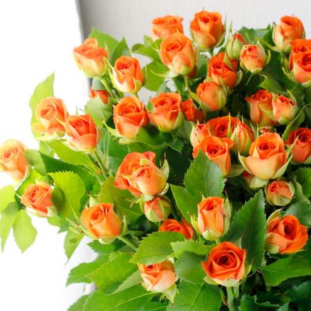 生花】SPバラ シェリ(オレンジ)和歌山県 QueenRose 80cm - 花材通販は