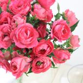 生花】SPバラ マカロンウェディング(サーモン・カップ咲き)ローズ