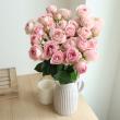 【生花】SPバラ 　マイネリーベ(淡ピンク)