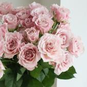 バラ　FS バラ CFA 高品質]ライブディオZX/DioZX後期型[AF35-1500000-2399999,AF35