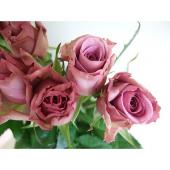 直前0729!】バラ ブルーキュリオサ(ピンクパープル) - 花材通販はなど