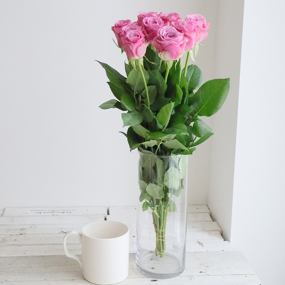 生花 クールウォーター 紫 通販 はなどんやアソシエ 生花 クールウォーター 紫 通販 はなどんやアソシエ