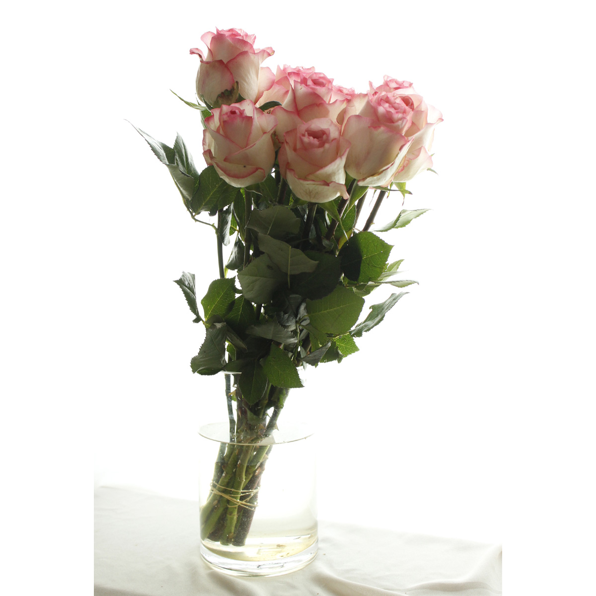 直前 ケニアローズ ジュミリア ピンク白 60cm 早締切 76 通販 はなどんやアソシエ 直前 ケニアローズ ジュミリア ピンク白 60cm 早締切 76 通販 はなどんやアソシエ