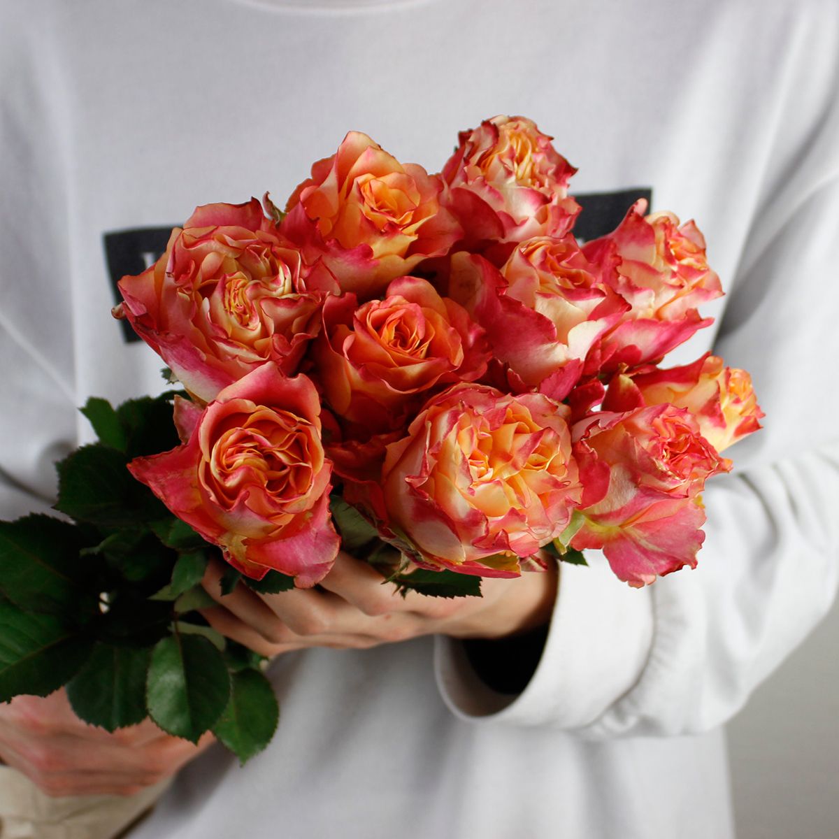 生花 ケニアローズ カプリオラ ピンクオレンジ複色 60cm Fj 通販 はなどんやアソシエ 生花 ケニアローズ カプリオラ ピンクオレンジ複色 60cm Fj 通販 はなどんやアソシエ