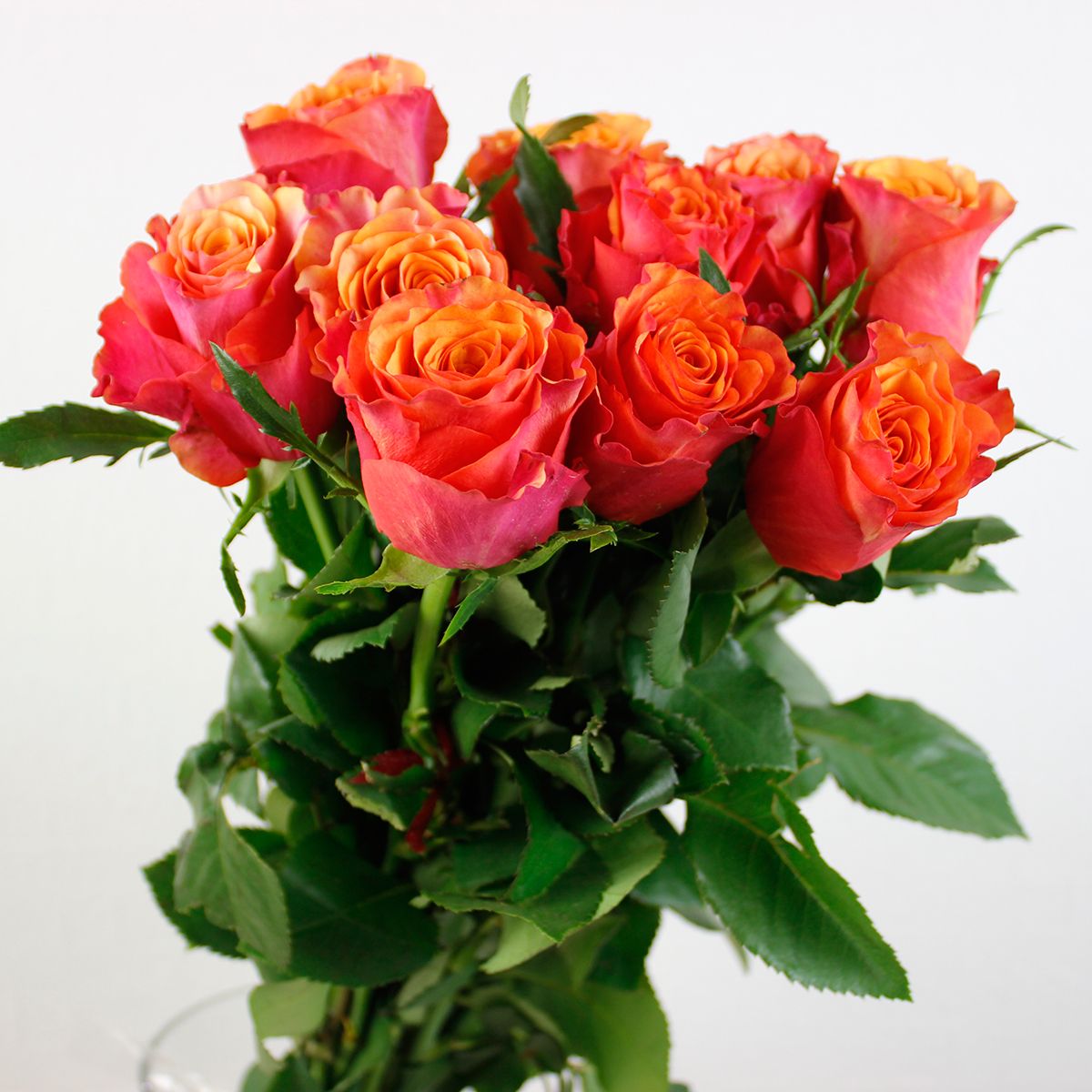 激レア　パタゴニア大型ポスター① 2008年   W 610mmX H914mm 激レア パタゴニア大型ポスター① 2008年 W 610mmX H914mm 激レア