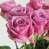 eh様限定エドルカラー　バラ売り◯1本当たり390円 生花/予約】大輪エクアドルローズ(パープル) ムーディーブルースなど