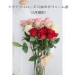 【生花/予約】◆敬老の日◆大輪エクアドルローズ　 クイーンベリーなど(濃いピンク)70cm 【OR-89】
