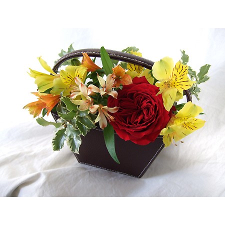 生花 バラ ロッソクラシコ 赤 クリスマス価格 通販 はなどんやアソシエ 生花 バラ ロッソクラシコ 赤 クリスマス価格 通販 はなどんやアソシエ