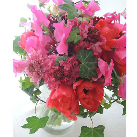 直前 スイトピー ローズマリー 濃いピンク 4pl 生花 通販 はなどんやアソシエ 直前 スイトピー ローズマリー 濃いピンク 4pl 生花 通販 はなどんやアソシエ