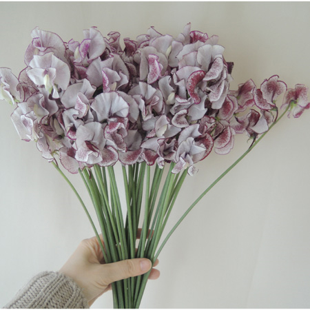 生花 ハーフロット スイトピー シャーリップル リサマリー エンジ紫系複色 入荷少faj 通販 はなどんやアソシエ 生花 ハーフロット スイトピー シャーリップル リサマリー エンジ紫系複色 入荷少faj 通販 はなどんやアソシエ