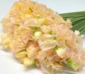 ※販売期間外※【生花】スイトピー ソフトイエロー(染め)太陽農園【早締切-22】