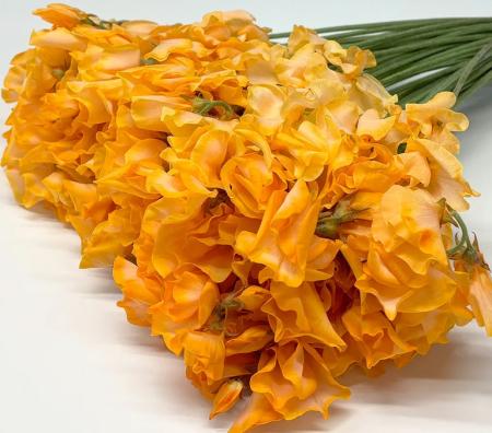 【生花】スイトピー　オレンジ(染め)太陽農園【早締切-22】