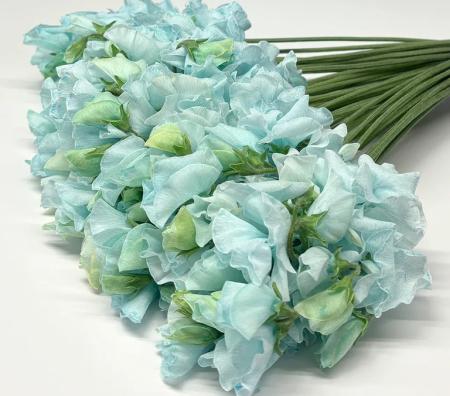 【生花】スイトピー　みずいろ (ライトブルー)(染め)太陽農園【早締切-22】