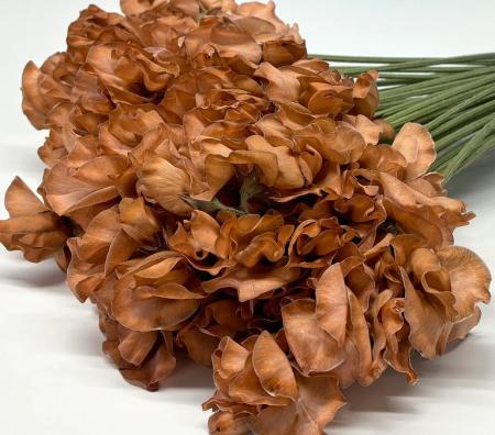 【生花】スイトピー　サンブラウン (濃いめ)(染め)太陽農園【早締切-22】