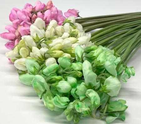 【直前!】スイトピー　ひなあられ3色ミックス(期間限定)(染め)太陽農園