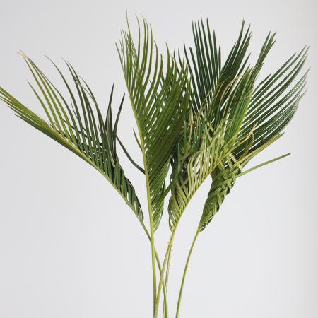 【生花】編みソテツ　そう花園【早締切-71】