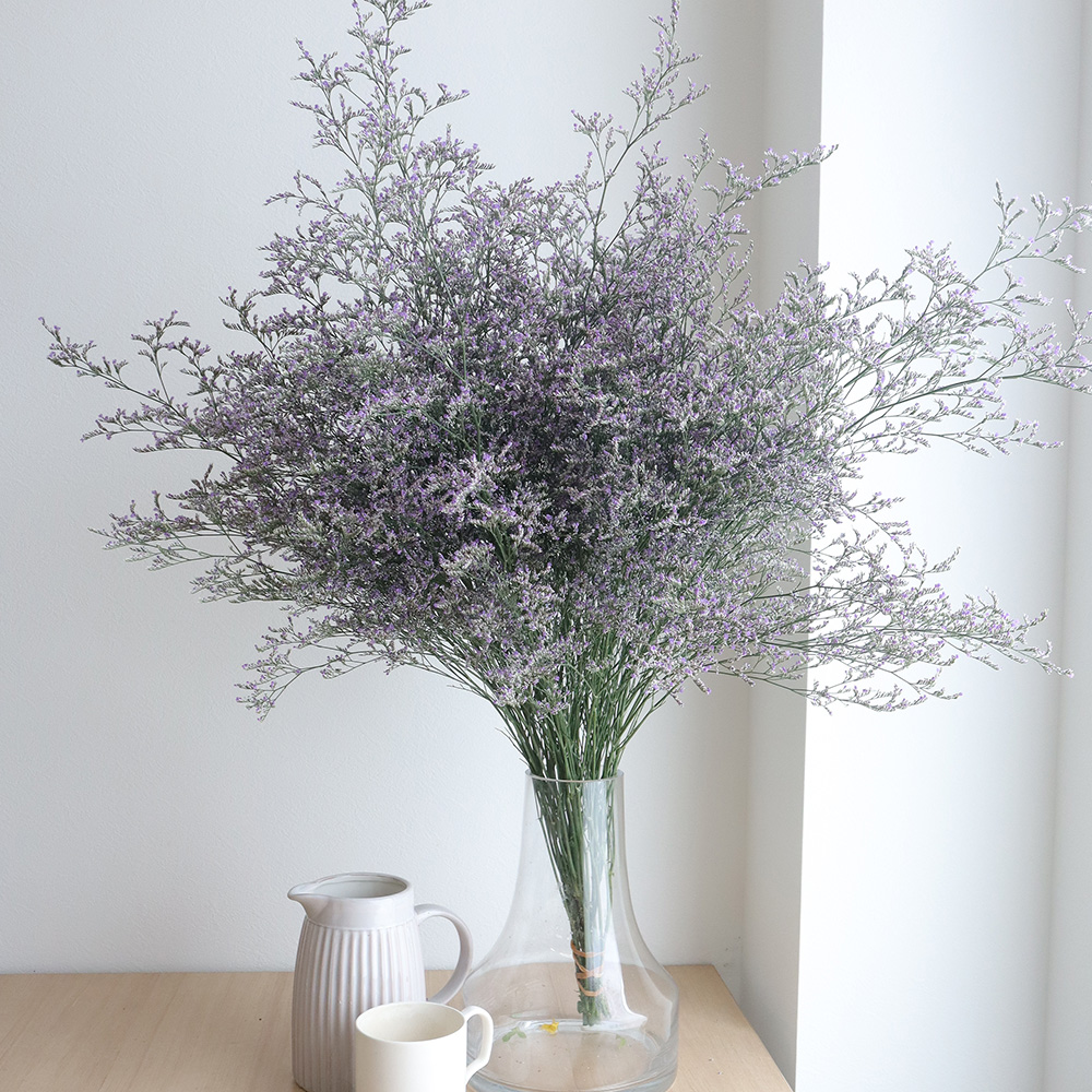 生花 ブルーファンタジー 紫 70cm程度 Ot 通販 はなどんやアソシエ 生花 ブルーファンタジー 紫 70cm程度 Ot 通販 はなどんやアソシエ