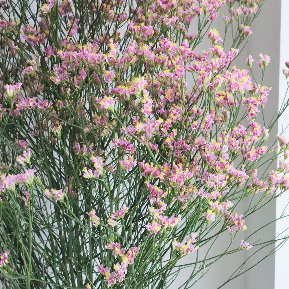 花ページ adidas ZX 8000 “Hanami” Pack Celebrates Japan and Germany's