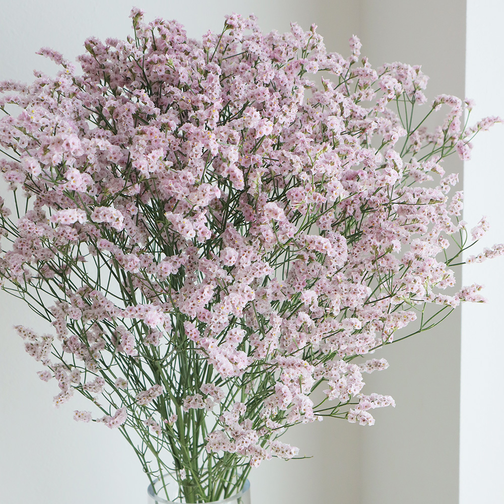 花蓮ページ １２点 写真・動画特集】花蓮県で洪水 台風18号による大雨でせき止め湖