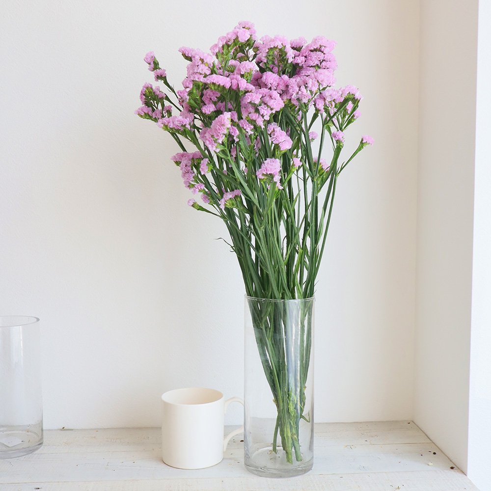 生花 スターチス ピンク 60cm程度 濃淡おまかせ Ita 通販 はなどんやアソシエ 生花 スターチス ピンク 60cm程度 濃淡おまかせ Ita 通販 はなどんやアソシエ