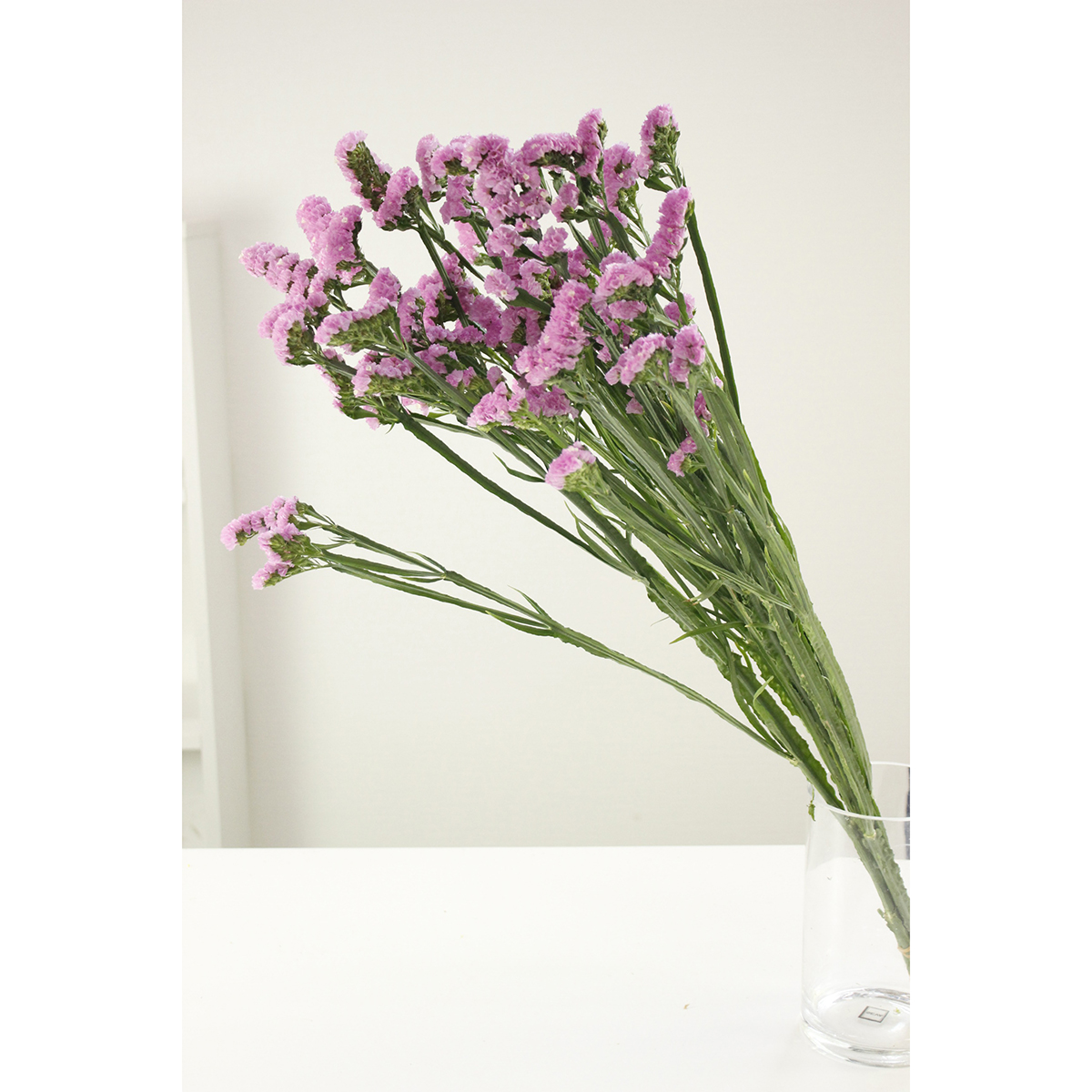 生花 スターチス ピンク 2lサイズ北空知 Ot 通販 はなどんやアソシエ 生花 スターチス ピンク 2lサイズ北空知 Ot 通販 はなどんやアソシエ