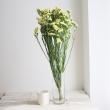 【生花】スターチス<70cm> (黄色)【OT】