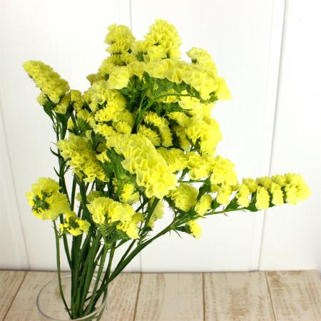 生花 スターチス 黄 Sサイズ 40cm程度 通販 はなどんやアソシエ