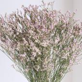 ✨1点限定‼️11種MIX【M】 HBチース かすみ アジサイ 生花 ドライ ✨