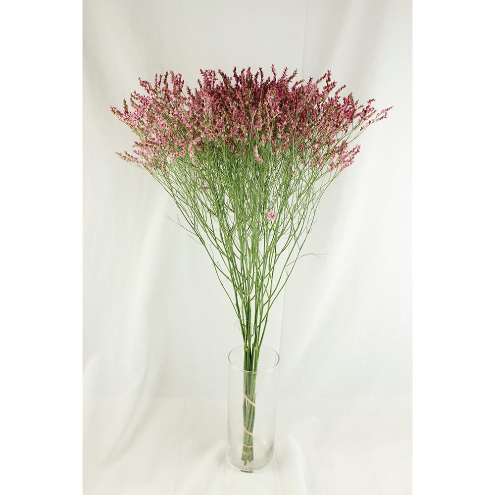 花瓶　生花 楽天市場】【無料ラッピング】 Sghr スガハラ フラワーベース