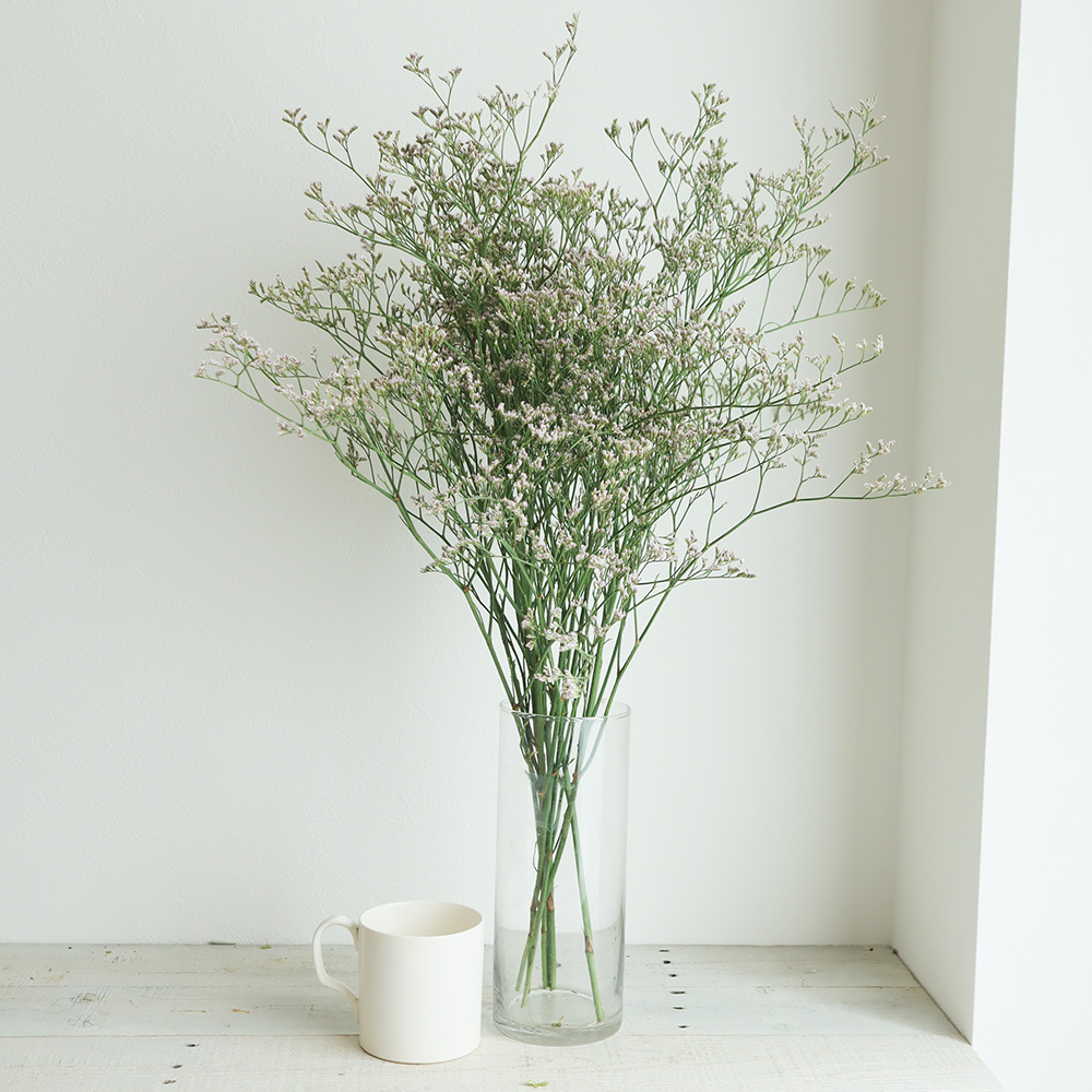 08直前!】HBスターチス ピンクトールエミール(うすピンク)50cm〜【生花