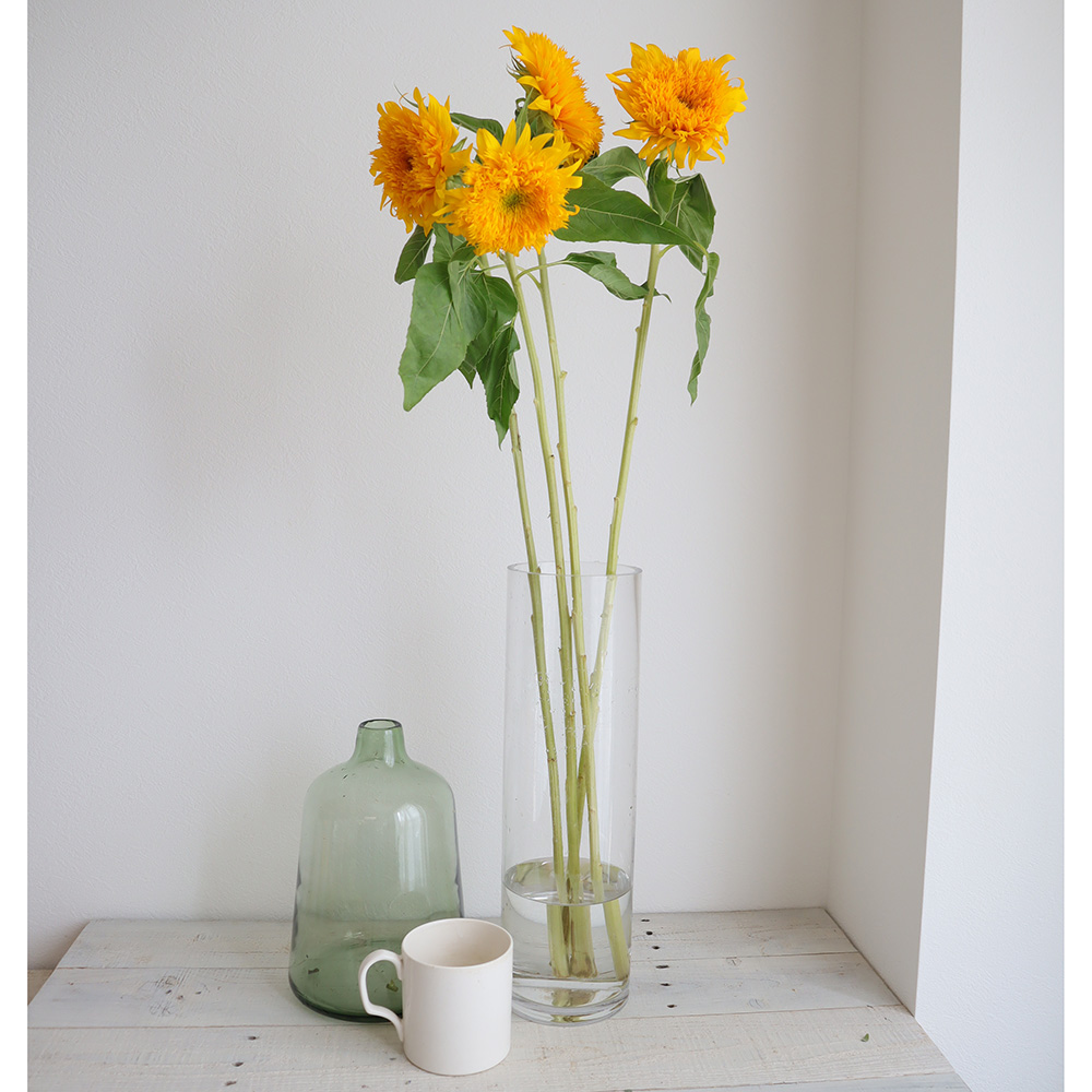 生花 ヒマワリ 東北八重 F10cm前後 Ot 通販 はなどんやアソシエ 生花 ヒマワリ 東北八重 F10cm前後 Ot 通販 はなどんやアソシエ