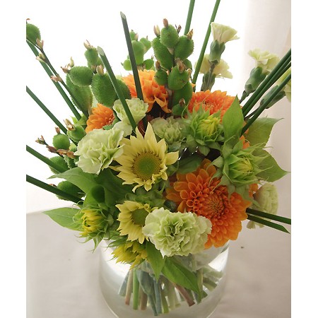 直前 金井園芸さんのヒマワリ ジェイド レモンイエロー芯白 F7cm前後 通販 はなどんやアソシエ 直前 金井園芸さんのヒマワリ ジェイド レモンイエロー芯白 F7cm前後 通販 はなどんやアソシエ