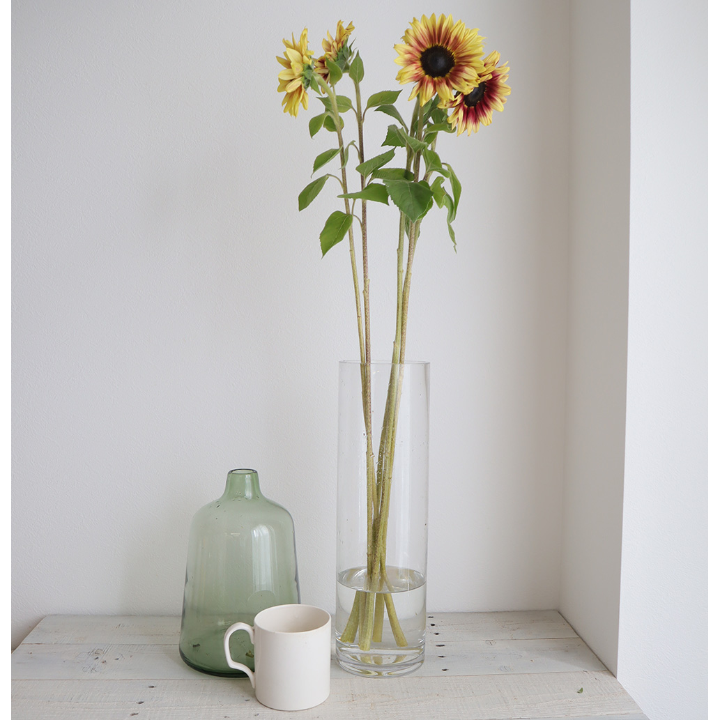 直前 ヒマワリ サンリッチライチ約7 10cm程度 生花 通販 はなどんやアソシエ 直前 ヒマワリ サンリッチライチ約7 10cm程度 生花 通販 はなどんやアソシエ